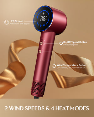H10 Apex Professional Hair Dryer - Burgundy